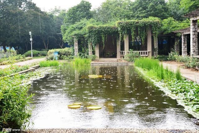 龍魚水質ph低了怎么辦:如何提高龍魚水質的ph值 龍魚百科 第5張 龍魚水質ph低了怎么辦:如何提高龍魚水質的ph值 龍魚水質ph低了怎么辦:如何提高龍魚水質的ph值 龍魚百科 第5張