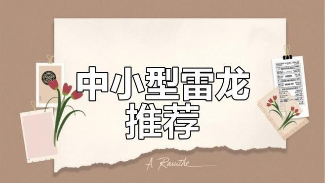 哪些雷龍魚品種適合新手
