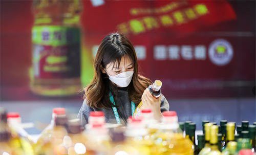 金龍魚2020年業績 金龍魚2020年業績 龍魚百科 第2張
