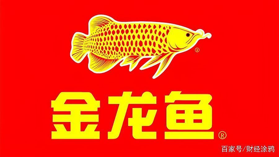 金龍魚2020年業績 金龍魚2020年業績 龍魚百科 第3張