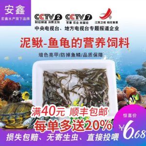 龍魚哪個品牌好養：在選擇龍魚品牌時我們可以從多個角度進行考慮考慮