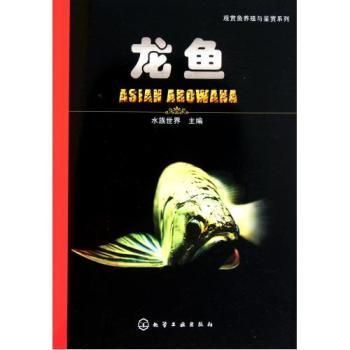 龍魚哪個品牌好養：在選擇龍魚品牌時我們可以從多個角度進行考慮考慮