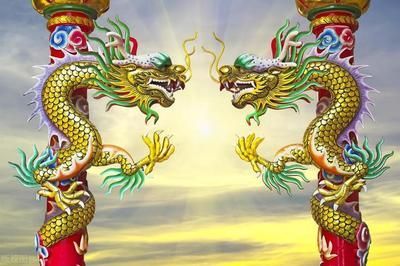龍魚的寓意和象征是什么：龍魚在風水中的具體應用