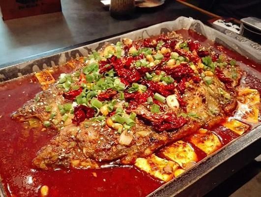 江水鱘龍魚好吃嗎：渭南市人民代表大會常務委員會簡述)鱘龍魚好吃嗎