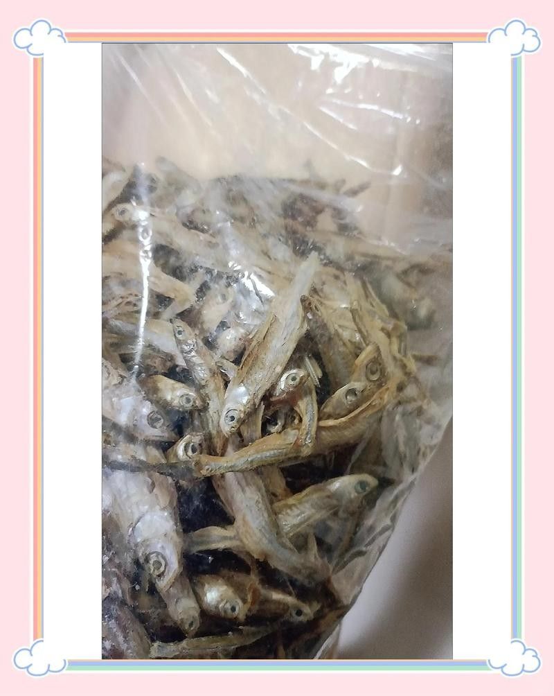 銀龍魚吃小魚干嗎