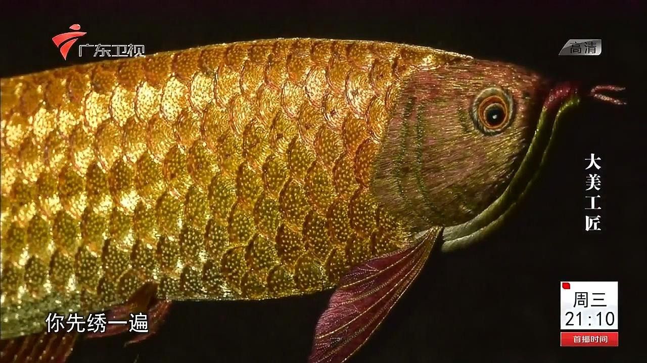 康惠芳的潮繡《金龍魚》有哪些歷史故事？