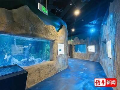 紅龍魚魚苗真假鑒別圖（如何鑒別紅龍魚魚苗）