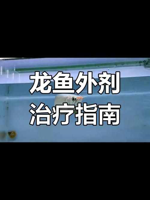 龍魚外寄癥狀圖