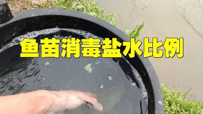 龍魚不動張嘴頻繁怎么回事：龍魚張不開嘴怎么回事？原因分析與解決方法