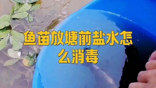 龍魚不動張嘴頻繁怎么回事：龍魚張不開嘴怎么回事？原因分析與解決方法