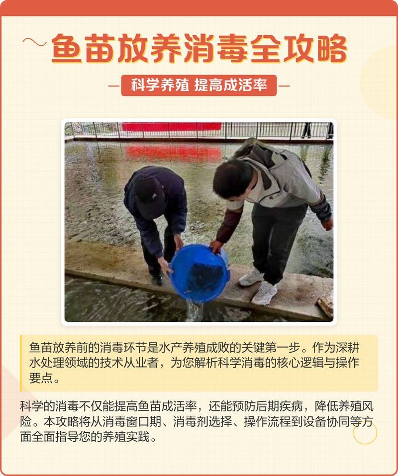 龍魚不動張嘴頻繁怎么回事：龍魚張不開嘴怎么回事？原因分析與解決方法
