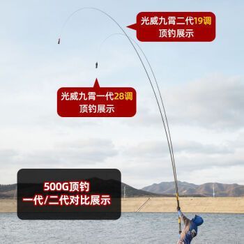 青龍魚桿官方網站（青龍魚桿使用技巧分享青龍魚桿使用技巧分享）