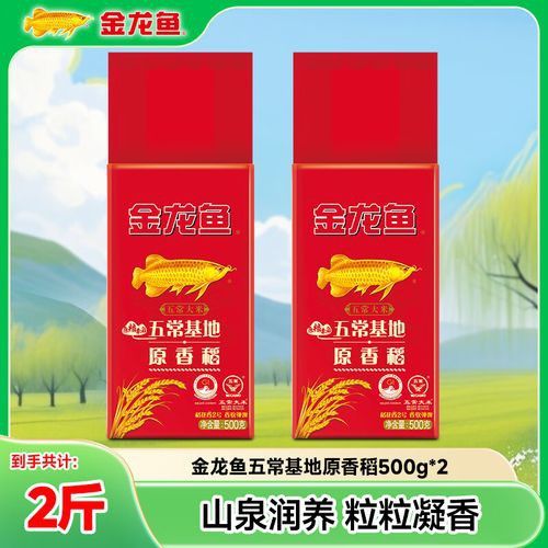 金龍魚原香稻