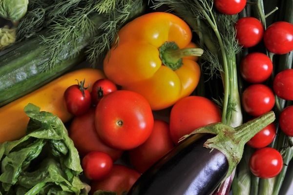 雷龍魚能活多少年：雷龍魚的壽命是多少？ 雷龍魚能活多少年：雷龍魚的壽命是多少？ 龍魚百科 第3張