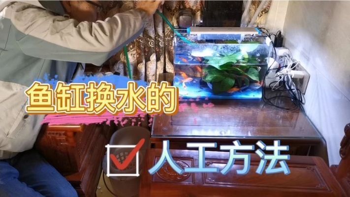 魚缸不用換水的設備叫什么，免換水魚缸的過濾系統