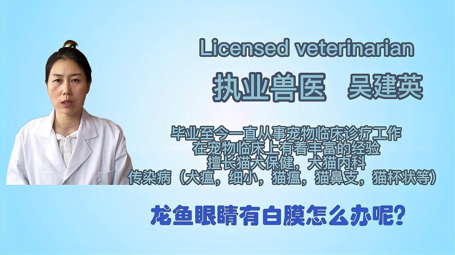 銀龍魚病了怎么救啊