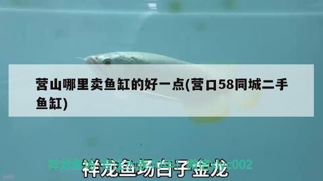 營山哪里賣魚缸的好一點(營口58同城二手魚缸)