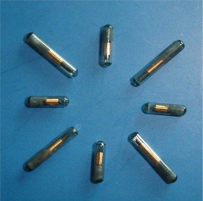 龍魚芯片部位鼓包用把它剪掉嗎（關于“龍魚芯片部位鼓包用把它剪掉嗎”的直接答案）