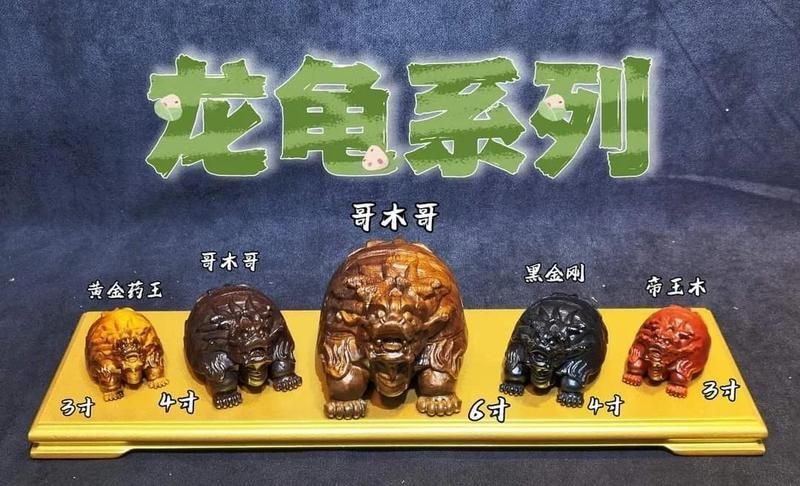 龍龜鎮(zhèn)宅如何擺放位置 龍龜鎮(zhèn)宅如何擺放位置 龍魚(yú)百科 第3張