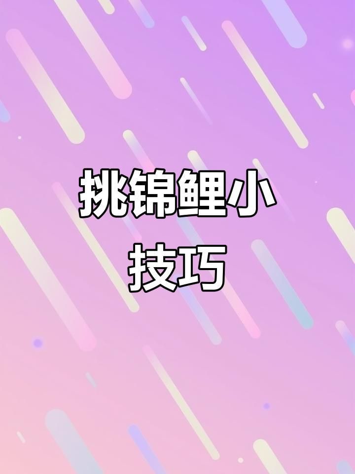 如何挑選高質(zhì)量的錦鯉魚？