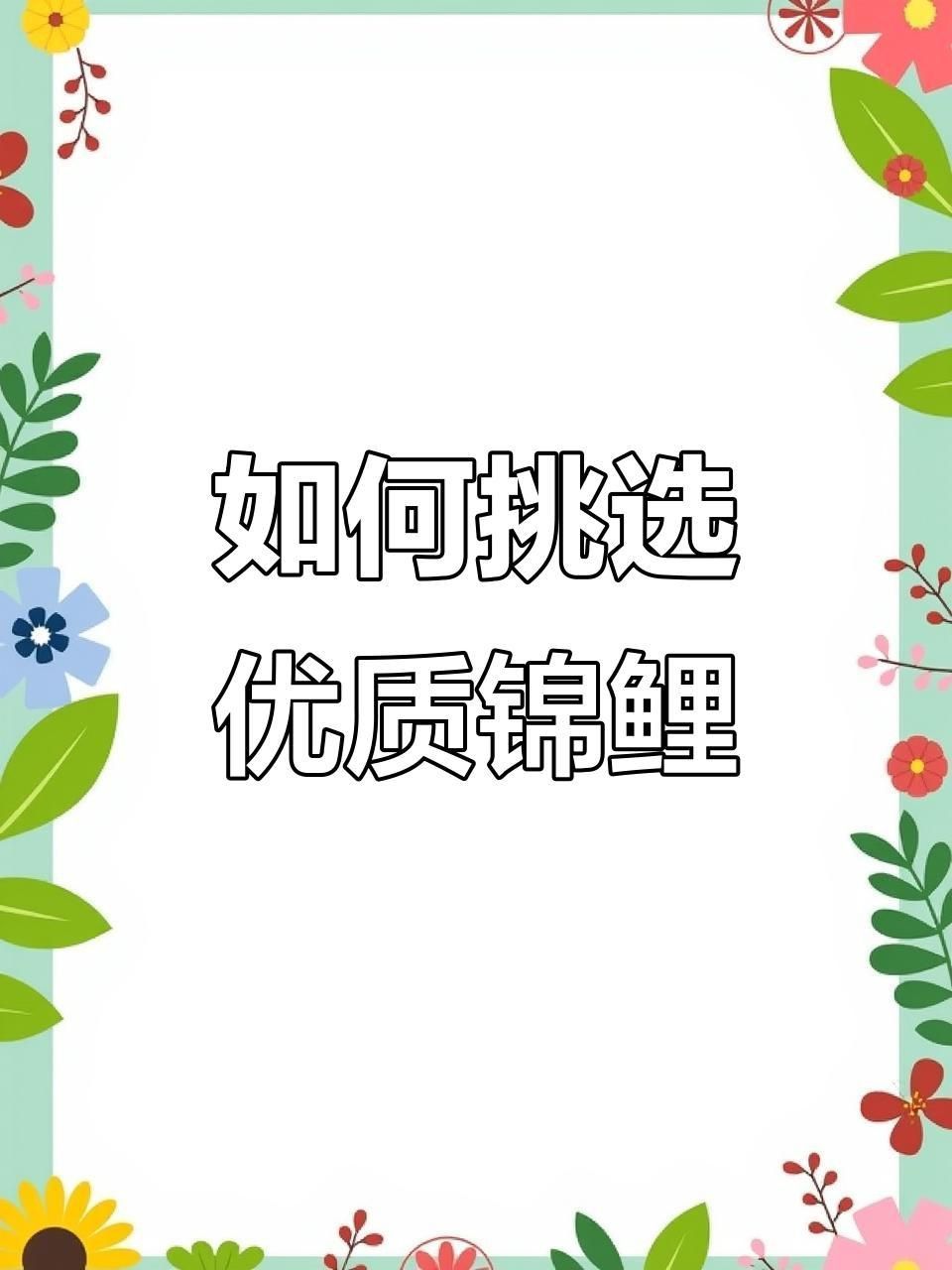 如何挑選高質(zhì)量的錦鯉魚？