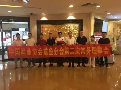 龍魚協(xié)會唐玉軍怎么樣，中國漁業(yè)協(xié)會龍魚分會副會長范則萍介紹文建強在龍魚協(xié)會的角色