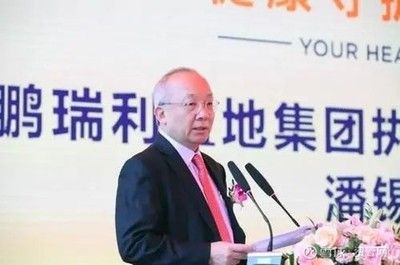 金龍魚掌門人是誰（金龍魚的掌門人是誰）