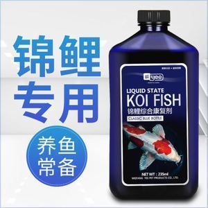 龍魚白點病和水霉病的區(qū)別：養(yǎng)龍魚白點病的注意事項