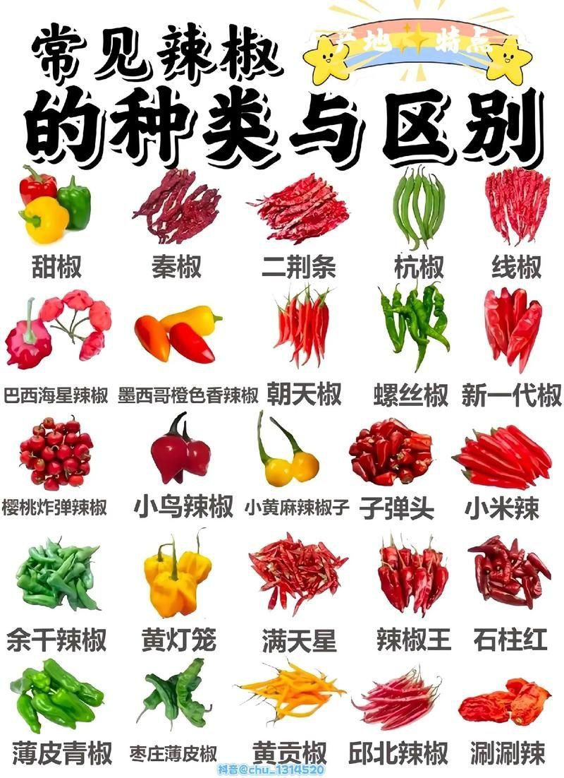 辣椒種類圖帶名稱大全