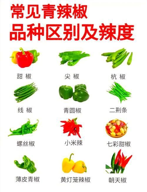 辣椒種類圖帶名稱大全