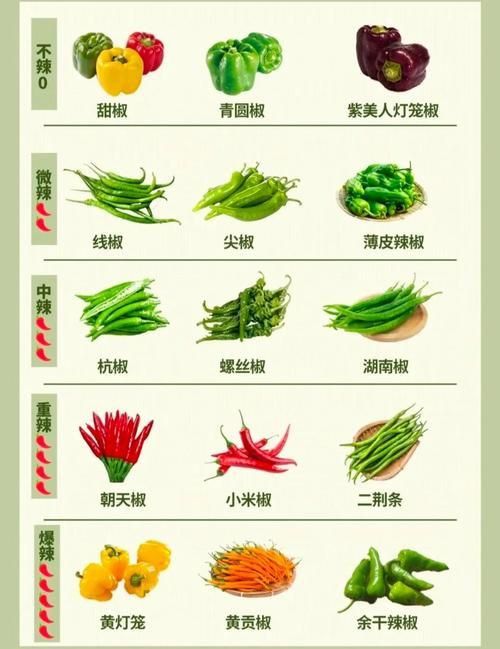 辣椒種類圖帶名稱大全