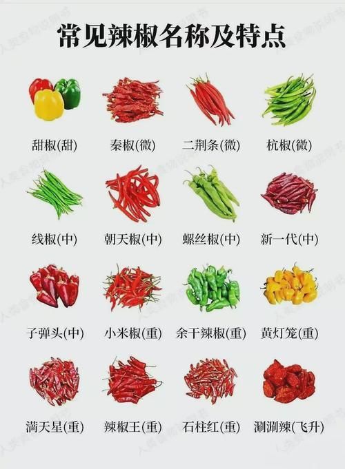 辣椒種類圖帶名稱大全