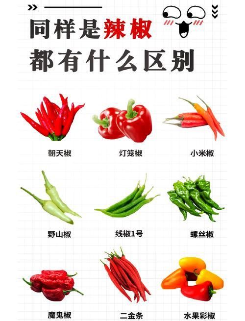 辣椒種類圖帶名稱大全