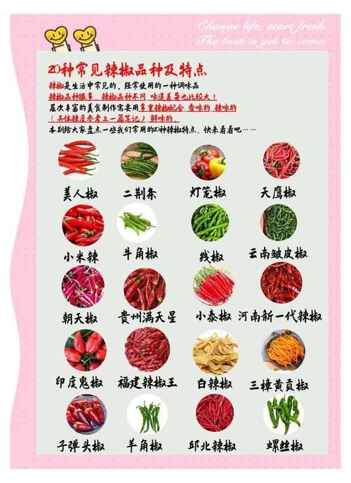 辣椒種類圖帶名稱大全