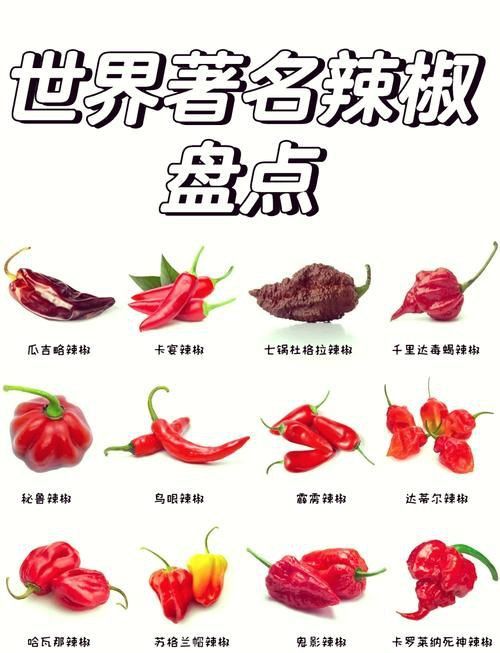 辣椒種類圖帶名稱大全