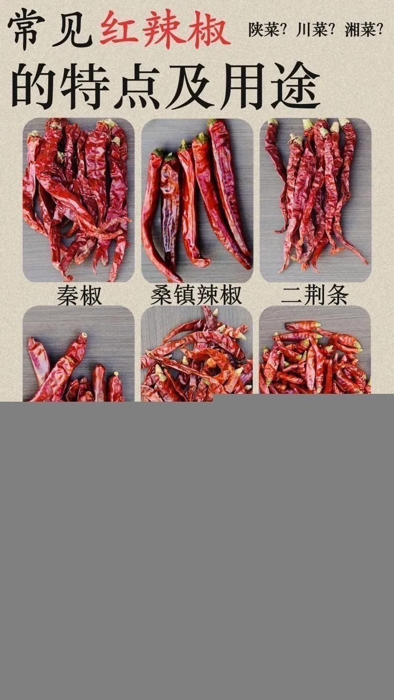 辣椒種類圖帶名稱大全