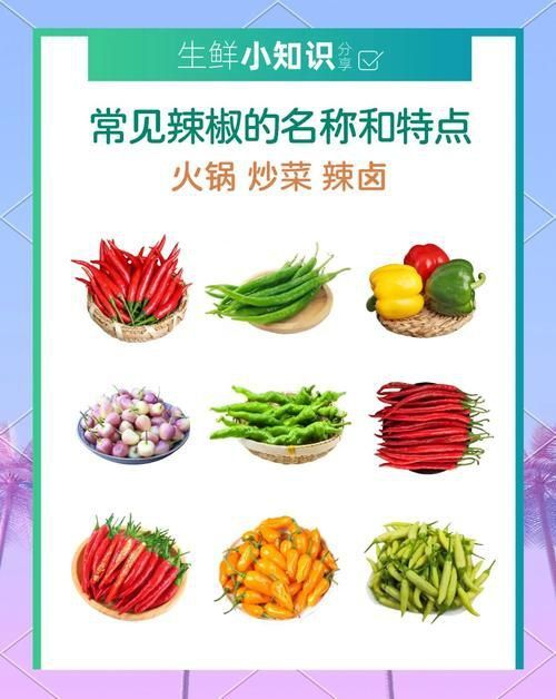 辣椒種類圖帶名稱大全