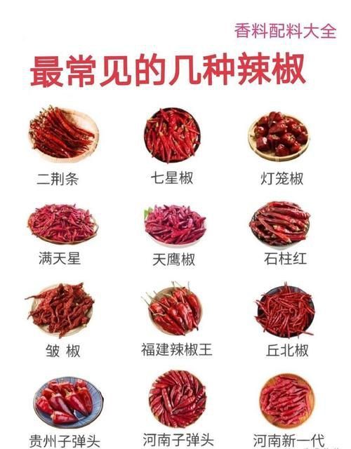 辣椒種類圖帶名稱大全
