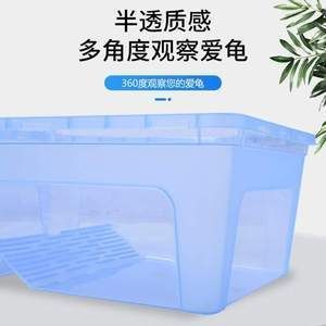 六角恐龍魚專用缸能養(yǎng)幾條，六角恐龍魚養(yǎng)殖數(shù)量 六角恐龍魚專用缸能養(yǎng)幾條，六角恐龍魚養(yǎng)殖數(shù)量 龍魚百科 第4張
