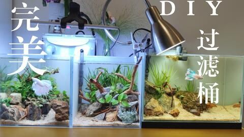 最好魚缸過濾系統排名，aquaelec-pro過濾器過濾系統排名
