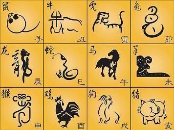 屬龍的養魚面向什么方位好