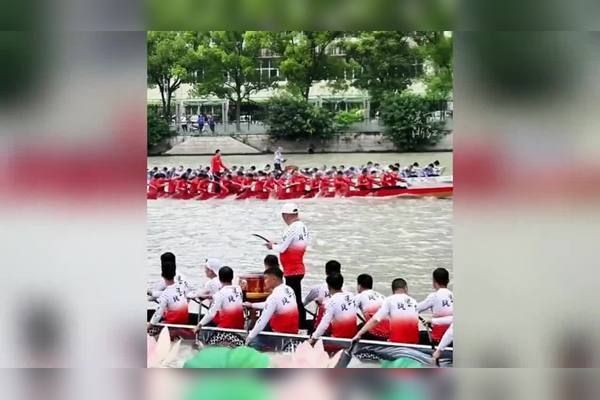 龍魚比賽視頻大全集播放（如何挑選優質的龍魚）