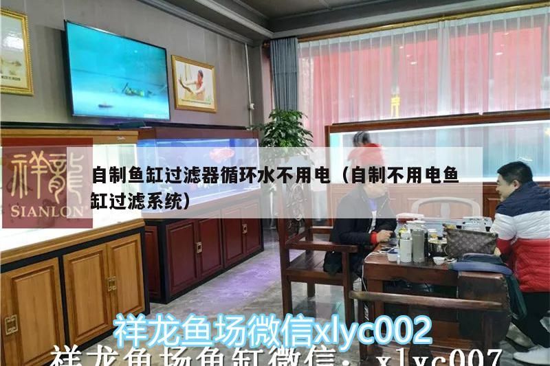 自制魚缸過濾器循環水不用電（自制不用電魚缸過濾系統）
