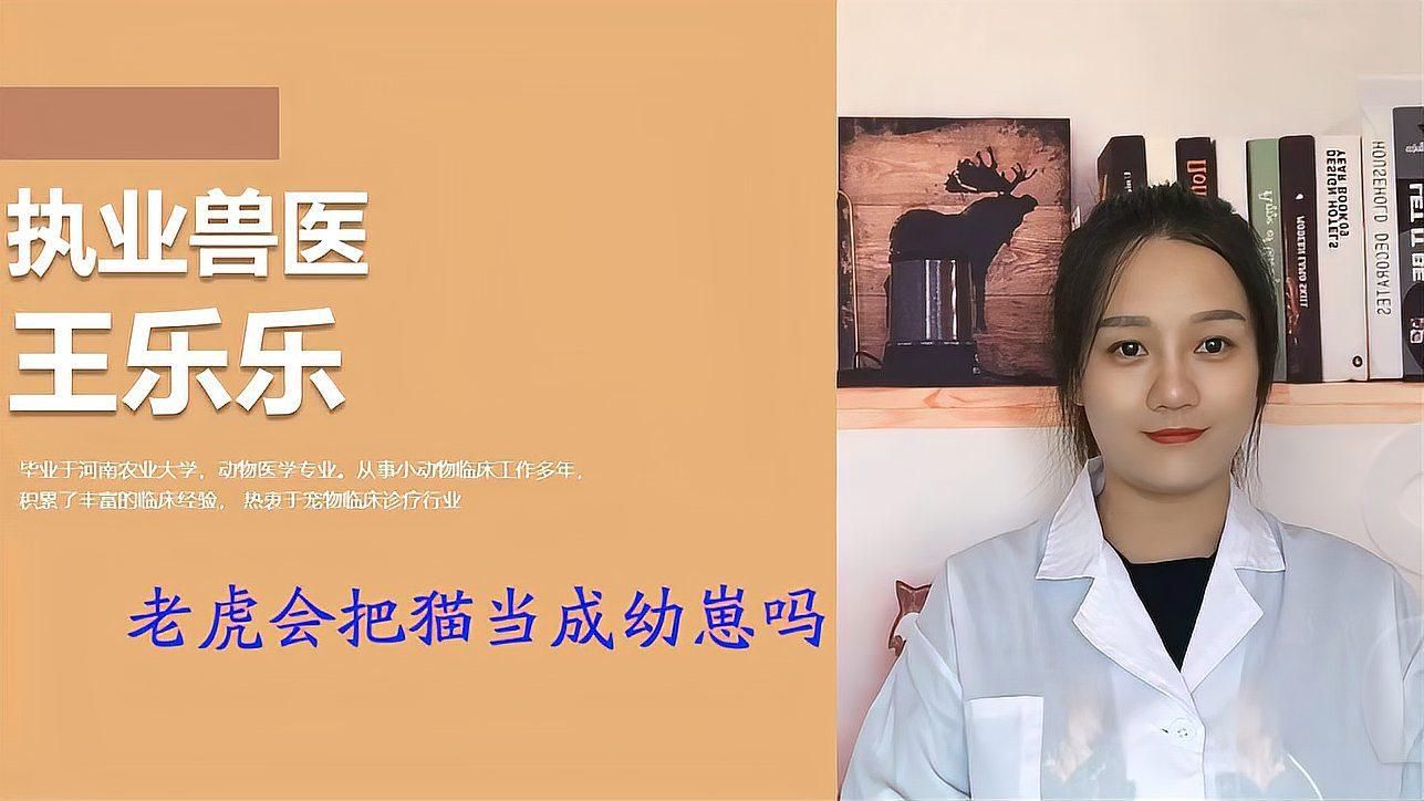 老虎會把貓當小老虎嗎