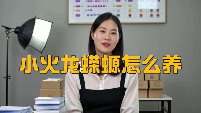 幼年小火龍蠑螈需要多大的飼養空間？ 幼年小火龍蠑螈需要多大的飼養空間？ 龍魚百科 第3張