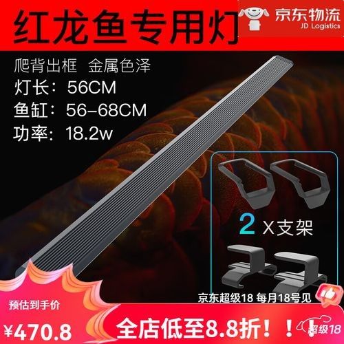 龍魚燈的價格范圍是多少？