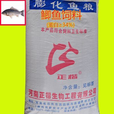 白龍魚吃什么飼料最好：關(guān)于白龍魚吃什么飼料最好