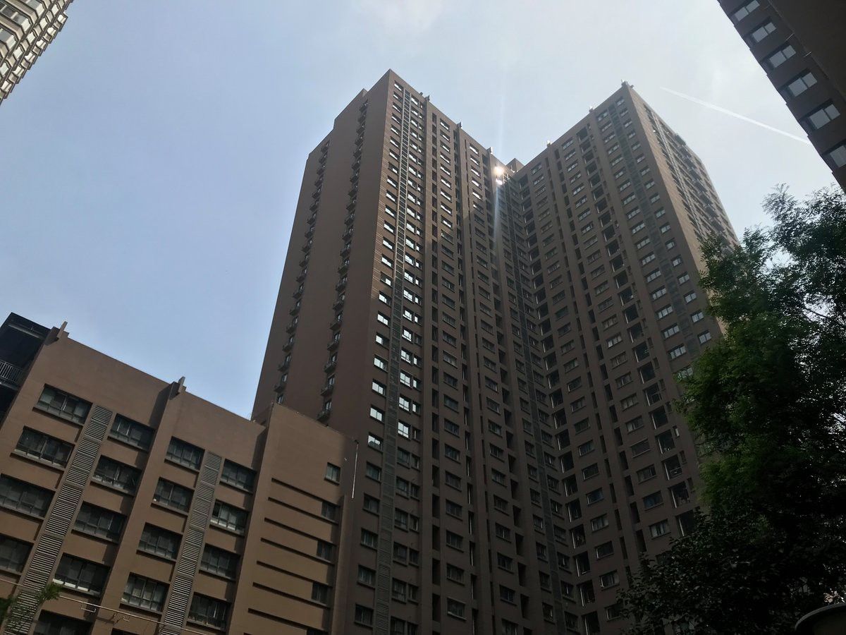 侯龍儔和馮潔有沒(méi)有后代