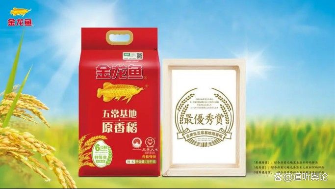 金龍魚山西分公司怎么樣