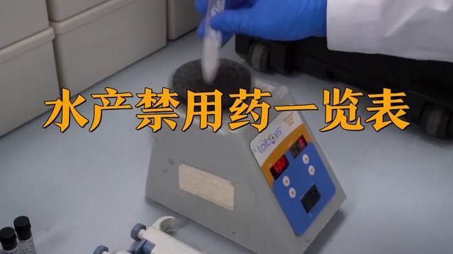 龍魚眼睛有白膜怎么辦呢吃什么藥好 龍魚眼睛有白膜怎么辦呢吃什么藥好 龍魚百科 第11張